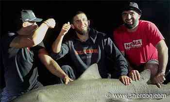 Islam Makhachev reels in shark ahead of UFC 330 title fight
