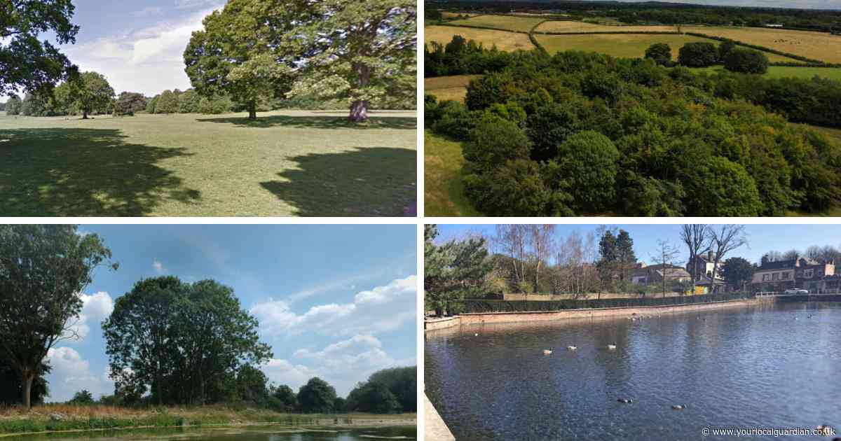 LISTED: These are the best places to watch the solar eclipse in Sutton