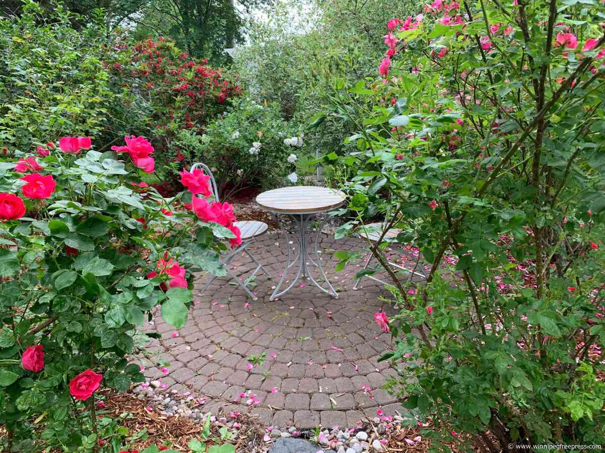 The circle of life — garden-sized