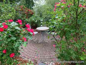 The circle of life — garden-sized
