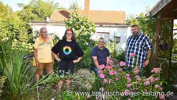 Bretterbuden, Hunger, Hochbeete: Diese grüne Oase in Braunschweig wird 100