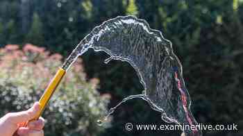 Why you won't be fined £1,000 for ignoring the hosepipe bans