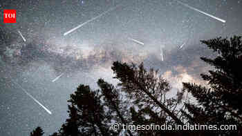 Perseid Meteor Shower 2026: When and where to see the magical display