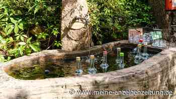 Mehr als 10 Schnapsbrunnen im Schwarzwald: Diese Wanderwege sind ein echtes Genuss-Erlebnis
