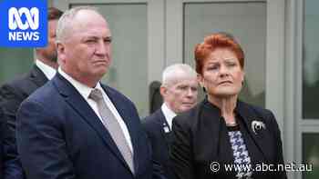 One Nation 'one of the gayest parties', Joyce says after candidate's comments — as it happened
