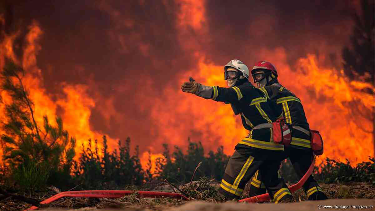 Waldbrand in Plauen, Schwarzwald etc.: Was Bosch und Quantum Systems im Kampf gegen Brände bieten
