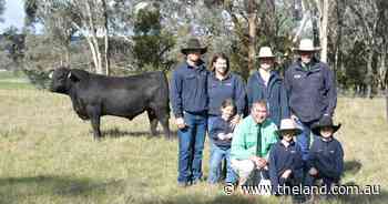 Hobbs high-performance genetics secure top dollar from repeat buyer