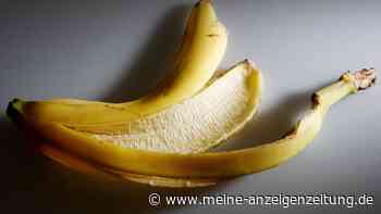 Apfelstrunk, Bananenschale & Co.: Darf man Obstreste einfach in die Natur werfen? 
