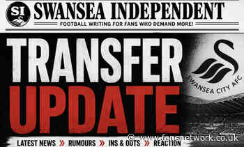Swansea City : Zān Vipotnik news, Nzingoula who ? and loads more