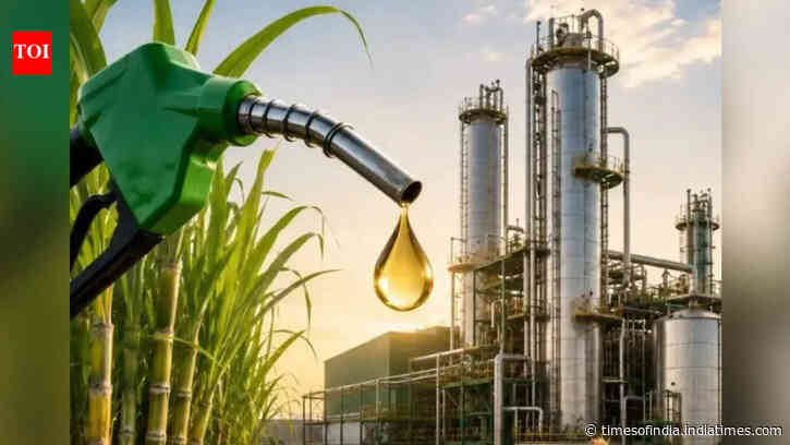 Ethanol supplies cross 800 crore litres: Why India's next challenge is demand
