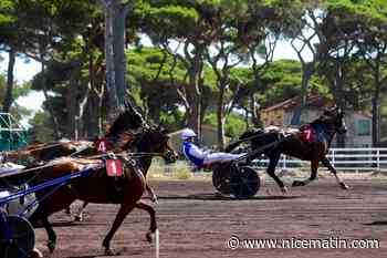 « Ma jument est comme une sportive de haut niveau » : immersion dans les coulisses de l’hippodrome de la plage à Hyères