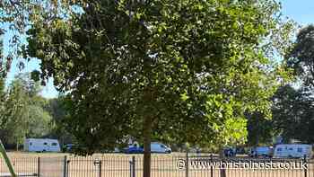 Travellers set up unauthorised encampment at Knowle park