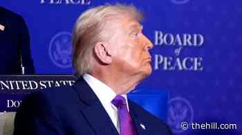 Trump’s Gaza plan and Board of Peace face ticking clock