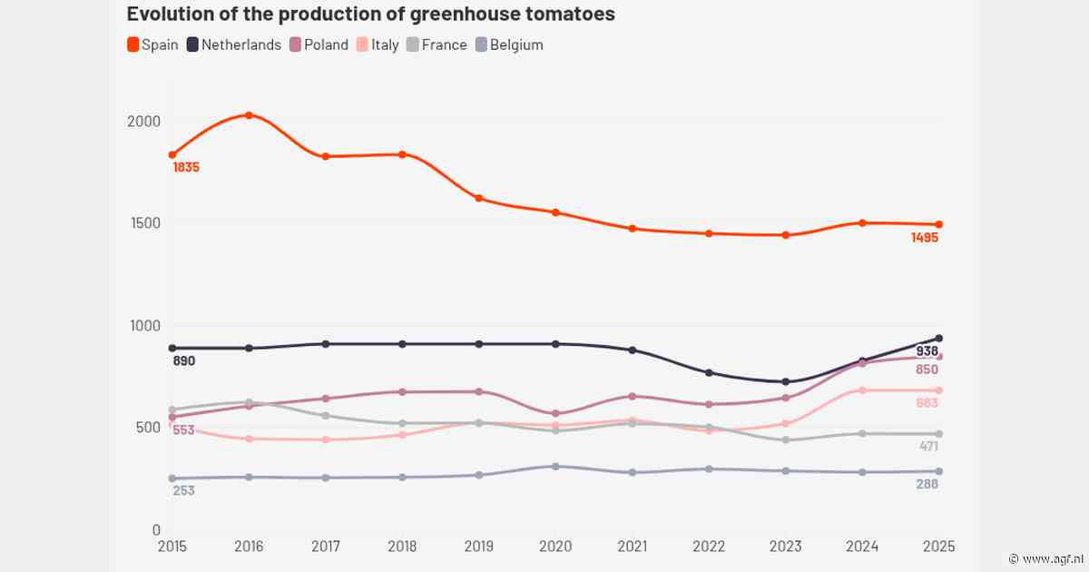 Tomaten: Spaanse terugval tegenover Poolse groei