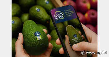 "Slimme app geeft importeurs nieuw inzicht in avocadogedrag van consumenten"