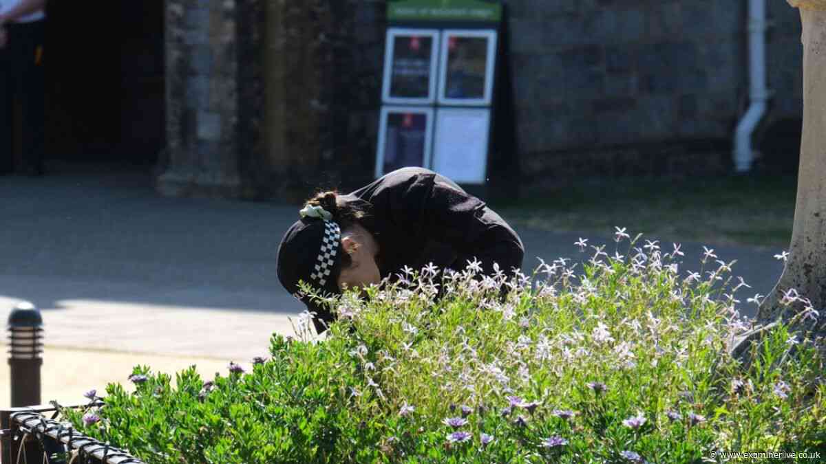 Ann Widdecombe's funeral latest as police search Buckfest Abbey ahead of service