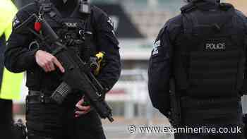 Armed police evacuate Central Line train at Stratford after 'man with firearm' report