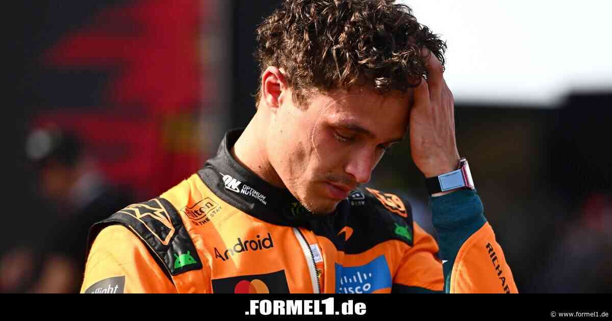 Verstehen Formel-1-Fahrer in Meetings überhaupt alles, Lando Norris?