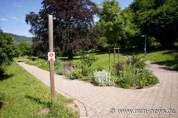 Landau – Plauderspaziergang in Annweiler am 26. August