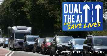 Northumberland A1 fight to go to Prime Minister after Government refuses to act