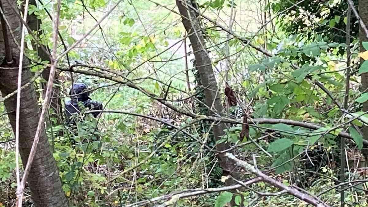 Major change to woodland confirmed after 'lurid acts' covered up
