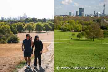 The devastating impact of England’s drought in before and after pictures