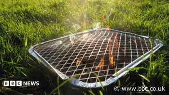 Burnham says disposable BBQ ban under consideration