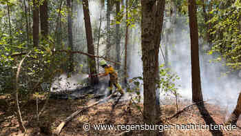 Waldbrand bei Steinberg am See Feuerwehr r?ckt aus