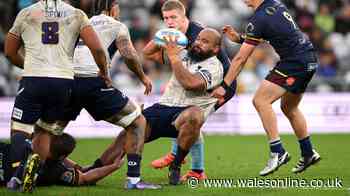 Scarlets sign 19st New Zealander as boss insists overseas signings help Welsh talent