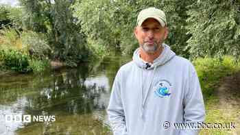 Dry spell drives water voles from chalk stream