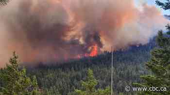 What you need to know about B.C. wildfires on Aug. 12
