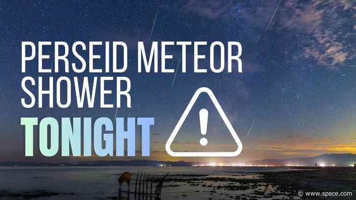 Perseid meteor shower peaks under perfect skies tonight — here's what to expect