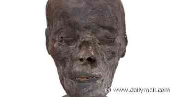 The REAL mummy's curse: Global trade in human heads could unleash ancient microbes on the world, scientists warn