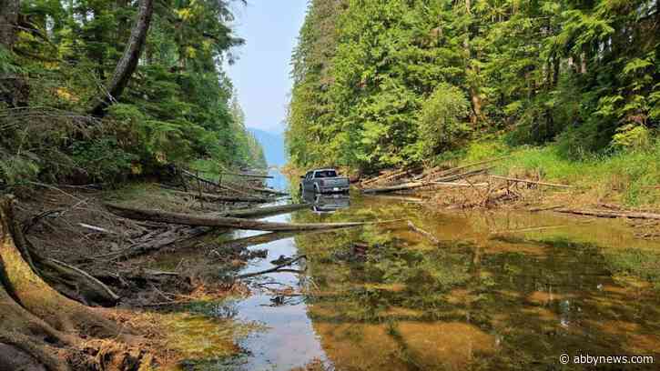 Pickup truck stolen from Abbotsford found submerged in creek near Mission
