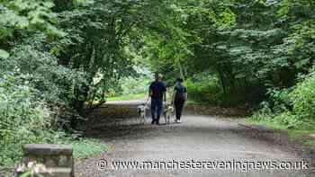 The tranquil Greater Manchester park with lakes, streams and meadows perfect for a summer's day