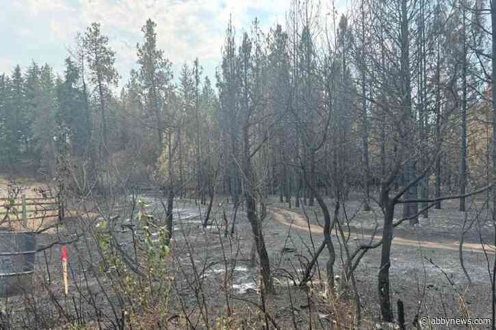 Bradley Creek wildfire remains held, no significant fire activity observed