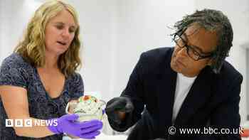 Massacre survivor's 'remarkable' story told 200 years on