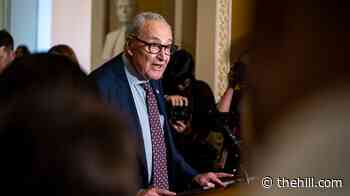 Schumer demands briefing on secret Trump flight from Turkey