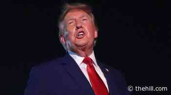 Trump on third term: 'The law is very strong'