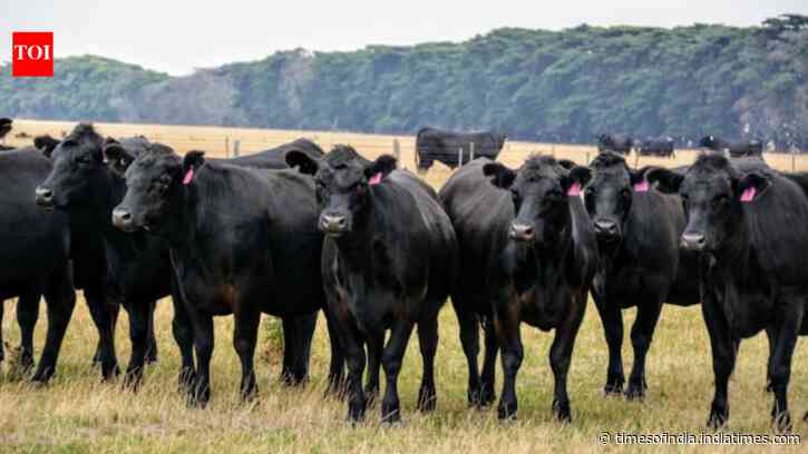 One-third of global farmland accounts for about two-thirds of agriculture-linked biodiversity
