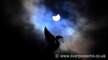 Solar eclipse 2026: Key timings, best locations and how to watch safely - updates