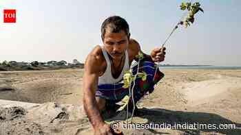 Jadav "Molai" Payeng: How one man turned a barren Brahmaputra sandbar into a thriving forest