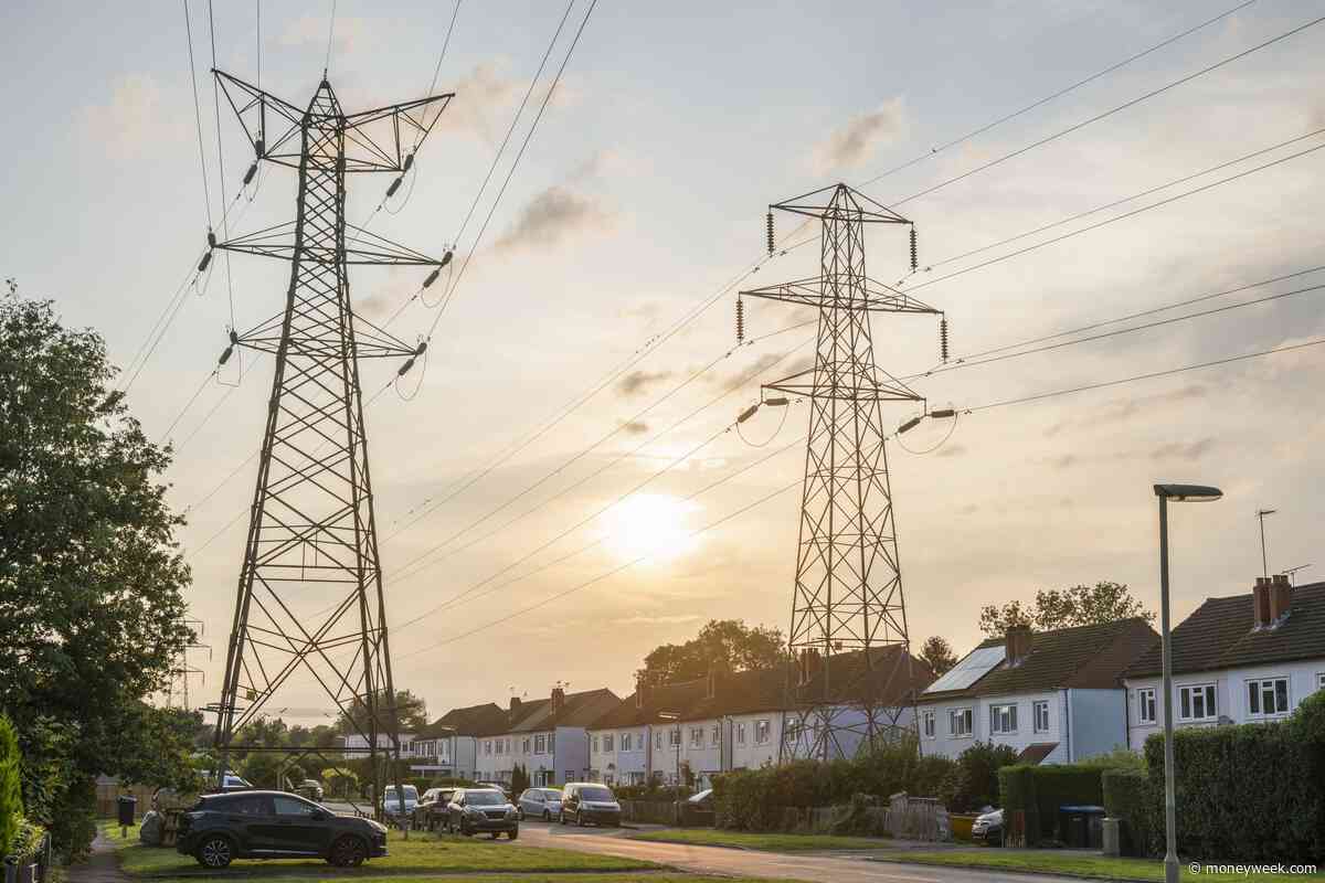 Thousands of households near pylons to get £250 a year off energy bills – could you be eligible?