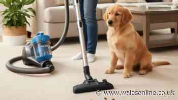'Super powerful' vacuum cleaner reduced from £86 to £53 'makes cleaning much easier'
