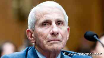 The truth about the Covid vaccine and miscarriage risk... after Fauci texts reignite debate over the shot's safety