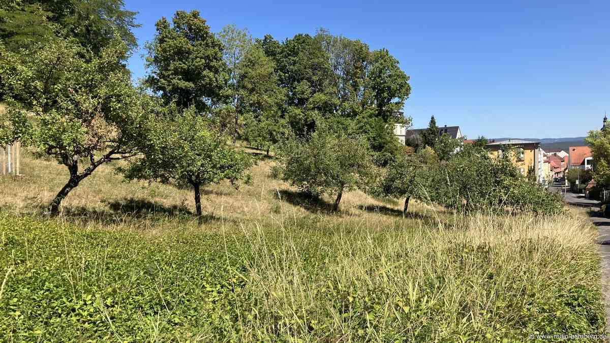 Weniger Mahd für mehr Artenvielfalt an der Villa Remeis