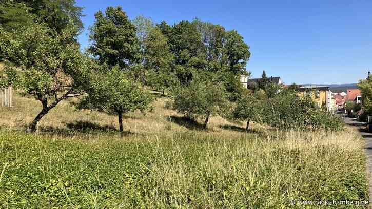 Weniger Mahd für mehr Artenvielfalt an der Villa Remeis