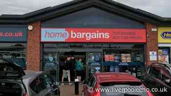 Hair is 'glossy and revived' with Home Bargains £40 item reduced to £4.99