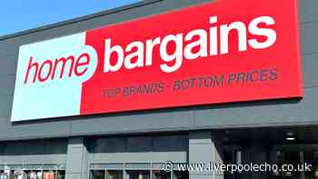 'Keep your house cool' with Home Bargains £15 'diamond' homeware item