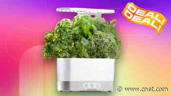 Go From Plant to Plate With This $81 AeroGarden Deal, Its Lowest Price Ever